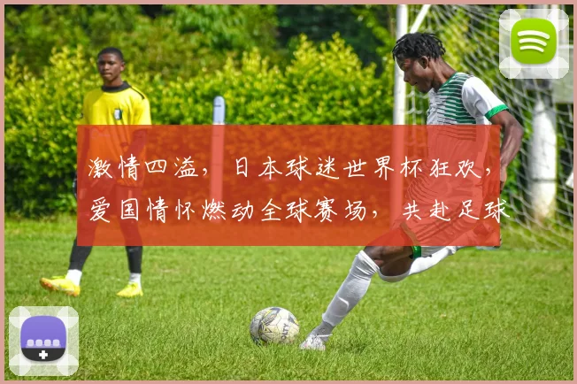 激情四溢，日本球迷世界杯狂欢，爱国情怀燃动全球赛场，共赴足球盛宴