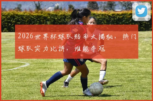 2026世界杯球队赔率大揭秘，热门球队实力比拼，谁能夺冠